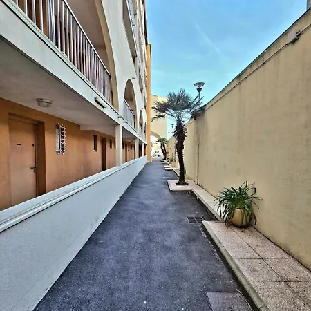 公寓 Joli T2 A Deux Pas De L'ile Des Loisirs Et Des Commerces Pour 5 A 6 Personnes 阿格德